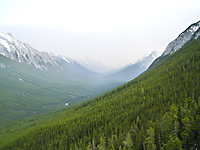 Natural beauty seen from gondola
