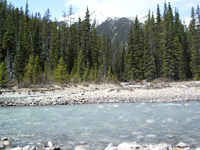 We had a picnic lunch here