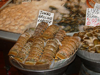 Lobster