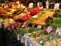 Lots of fresh produce