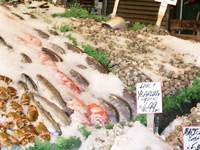 lots of fresh fish at the market