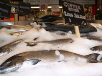 Copper river salmon
