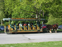 Horse Trolley